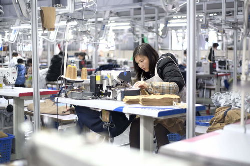 服装辅料制造业冲刺开门红，企业生产忙助力经济稳增长